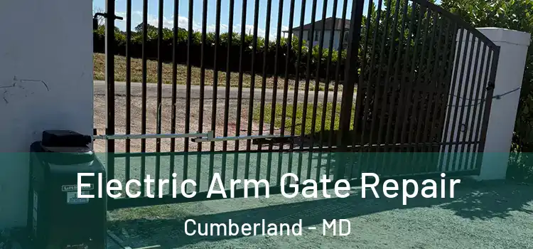 Electric Arm Gate Repair Cumberland - MD
