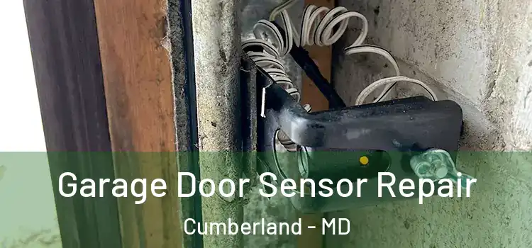 Garage Door Sensor Repair Cumberland - MD