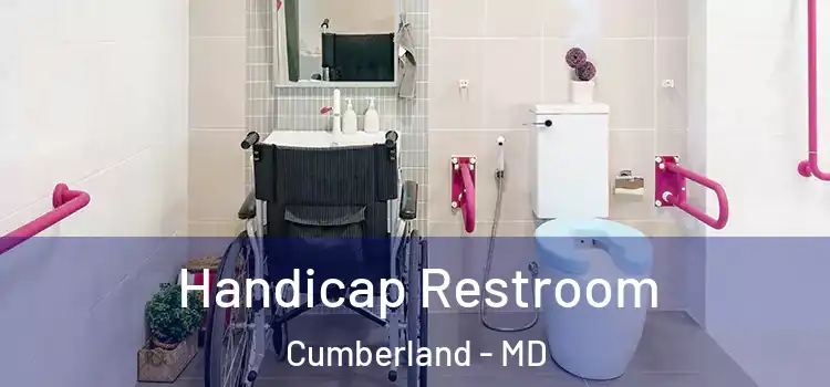 Handicap Restroom Cumberland - MD