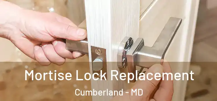 Mortise Lock Replacement Cumberland - MD
